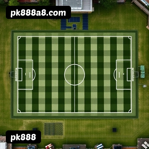 Níveis do programa VIP da pk888